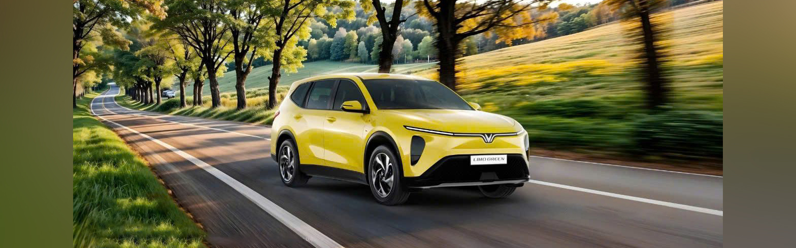 VINFAST LIMO GREEN-Giá-lăn-bánh-xe-VinFast-tại-Đà-Nẵng
